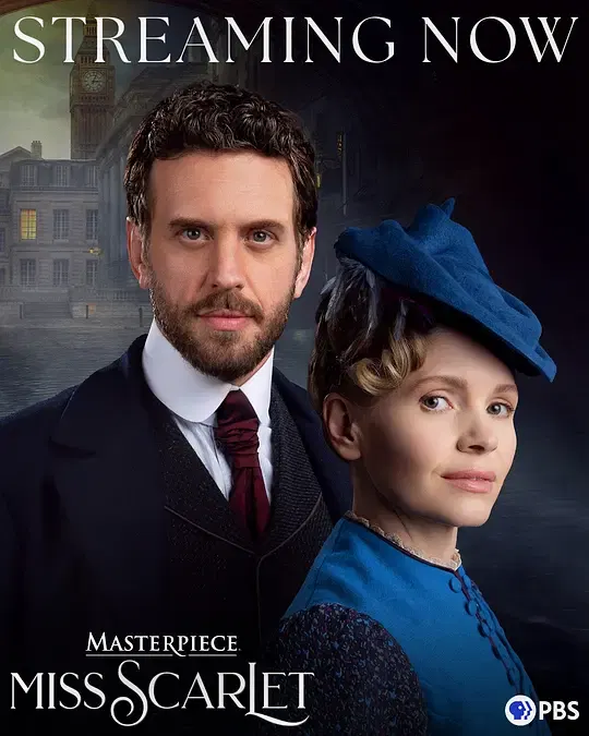 【欧美剧】斯嘉丽小姐探案集第六季